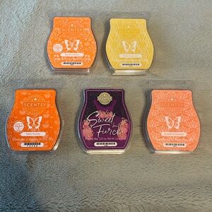 Lot of 5 fruity Scentsy Bar wax melts